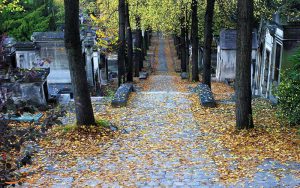 قبرستان های جادویی